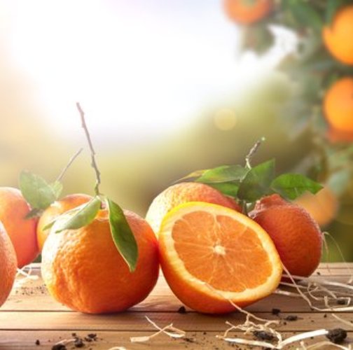 Tangerine 5 Fold Natural Blend Essential Oil 4